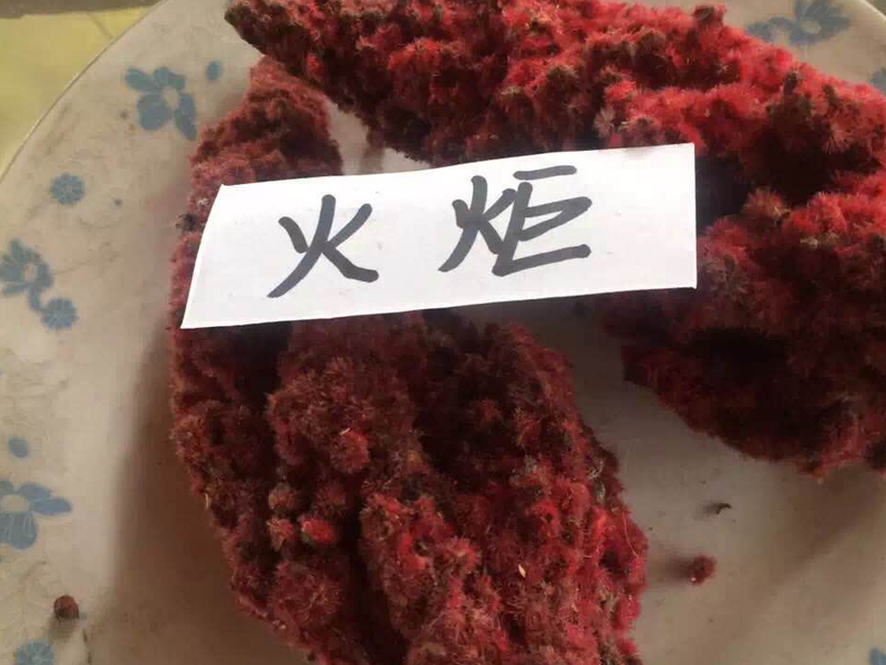 火炬