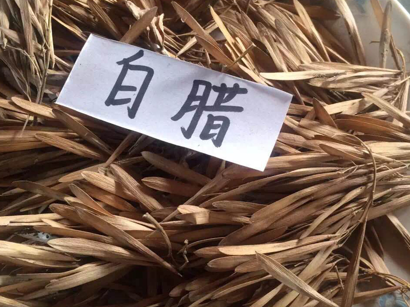 白臘